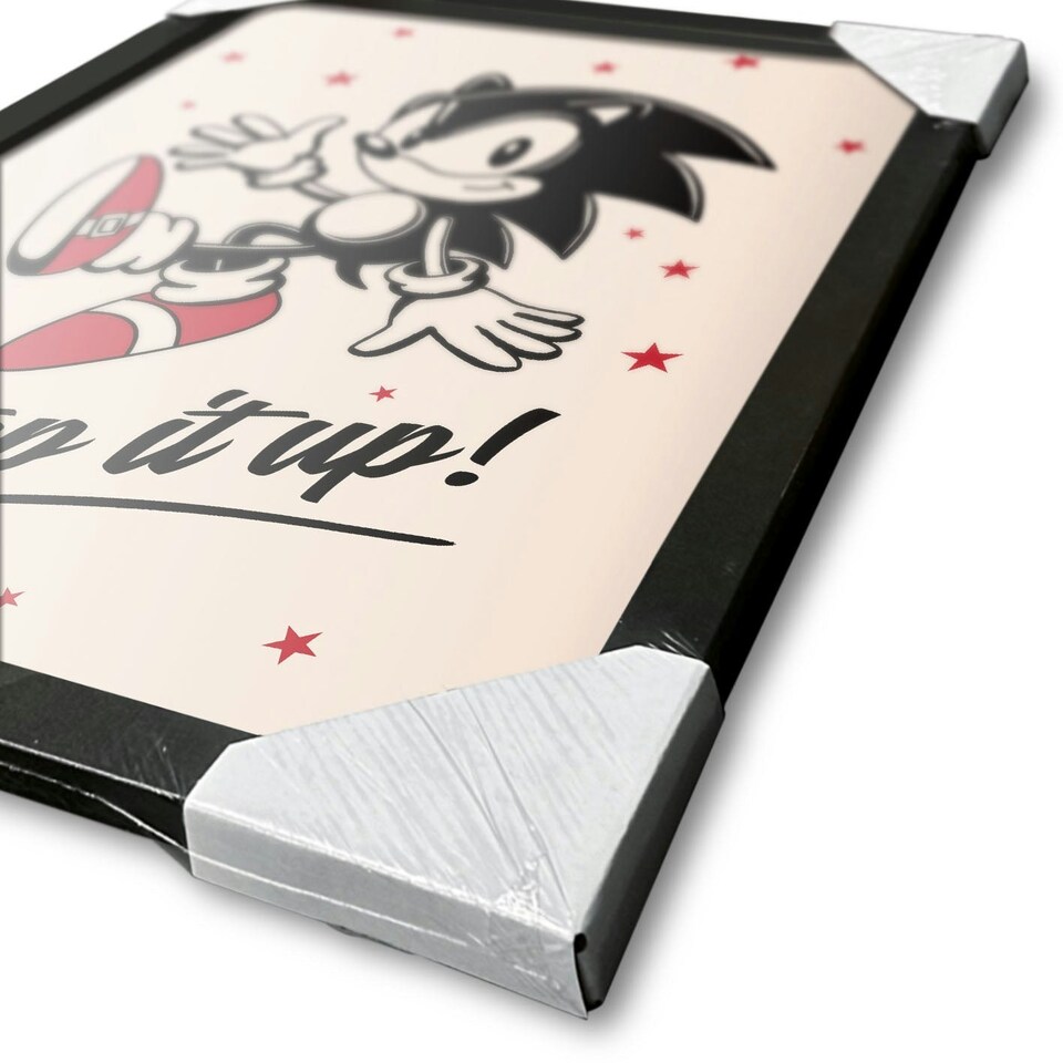 image 1 of Sonic The Hedgehog (Step It Up) Framed 30x40cm Print