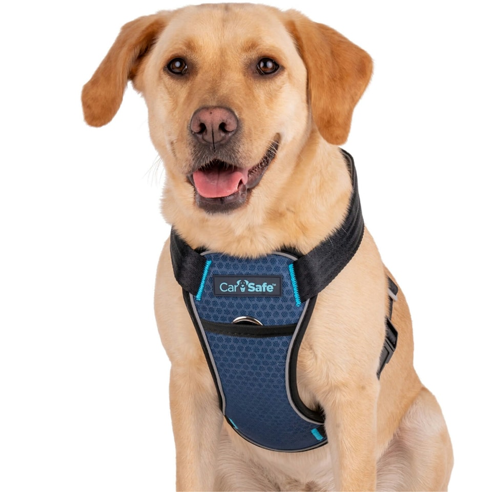 image 1 of Company Of Animals Carsafe Crash Tested Dog Harness - Black - L