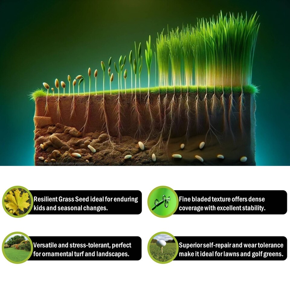 image 1 of Pegdev Hardwearing Grass Seed Resilient Lawn High Yield for Gardens & Parks 1kg