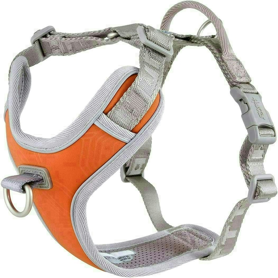 image 1 of Hurtta Venture No-Pull Dog Harness Buckthorn 24-32in