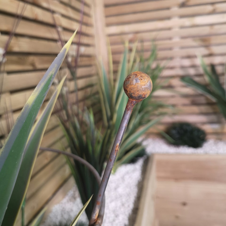 image 1 of Pack of 2 Tom Chambers Herbaceous Bare Rusted Steel Garden Plant Support Medium 54cm x 40cm