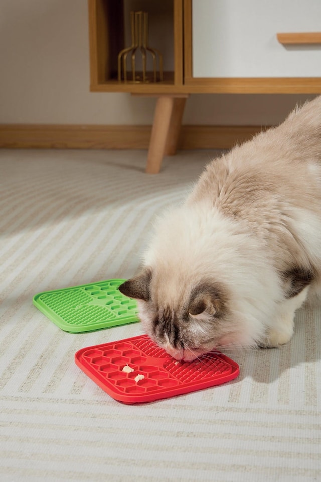 image 1 of M-PETS LECCA Mat Red L