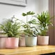 image 2 of Duck Egg Blue Ceramic Plant Pot With Attached Saucer - 17.5cm