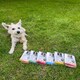 image 2 of DoggyRade Chewies Chicken Sweet PotatoandPumpkin 100g (Pack of 12)