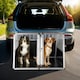 image 8 of Dog Crate Double - angled back wall, aluminium transport box, lockable