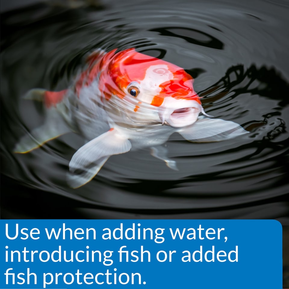 image 1 of 473ml API Pond Stress Coat Pond Water Conditioner Makes Tap Water Safe 140B Aquarium and Fish Supplies