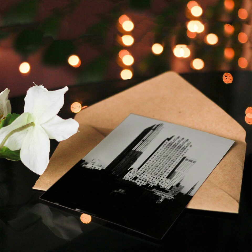 image 1 of Alfred Stieglitz Art Card New York View From The Shelton