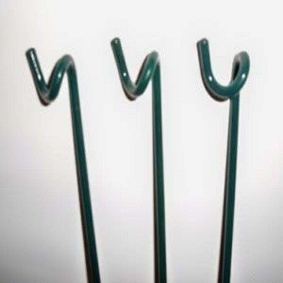 image 1 of 24 Inches Grow Through Legs Bare Metal/Ready to Rust (Pack of 3) - Ring Sold Separately - Steel - H61 cm