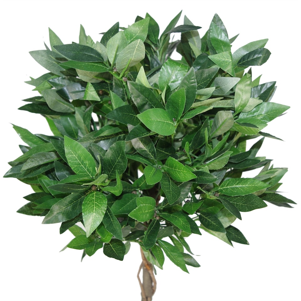 image 1 of 120cm (4ft) Twist Natural Trunk Artificial Topiary Bay Laurel Ball Tree | Green | 4ft