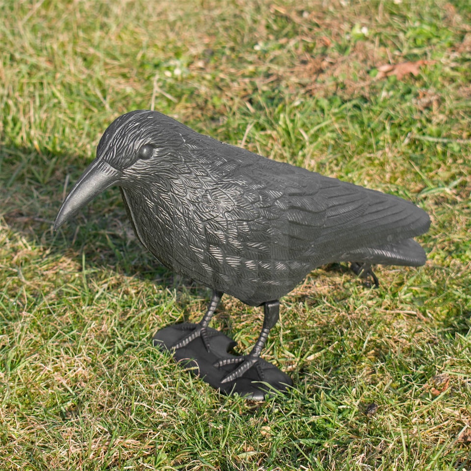 image 1 of KCT Crow Decoy Full Bodied Realistic Hunting Prop and Bird Scarer