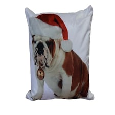 Bulldog Bouble Cushion Cover with Cusion Pads (43x43 cm) Multi Multi