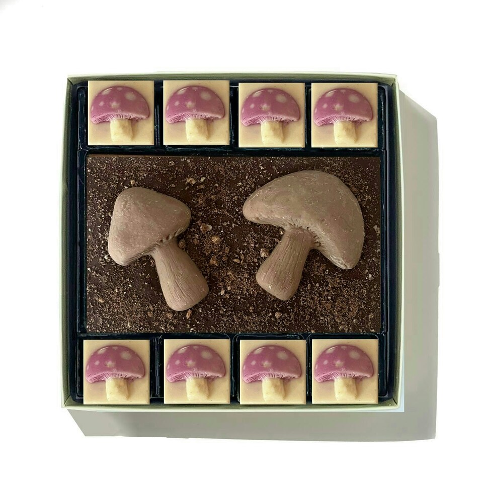 image 1 of Chocolate Toadstools