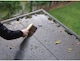 image 2 of Thompson's 10Year Roof Seal Black 1L