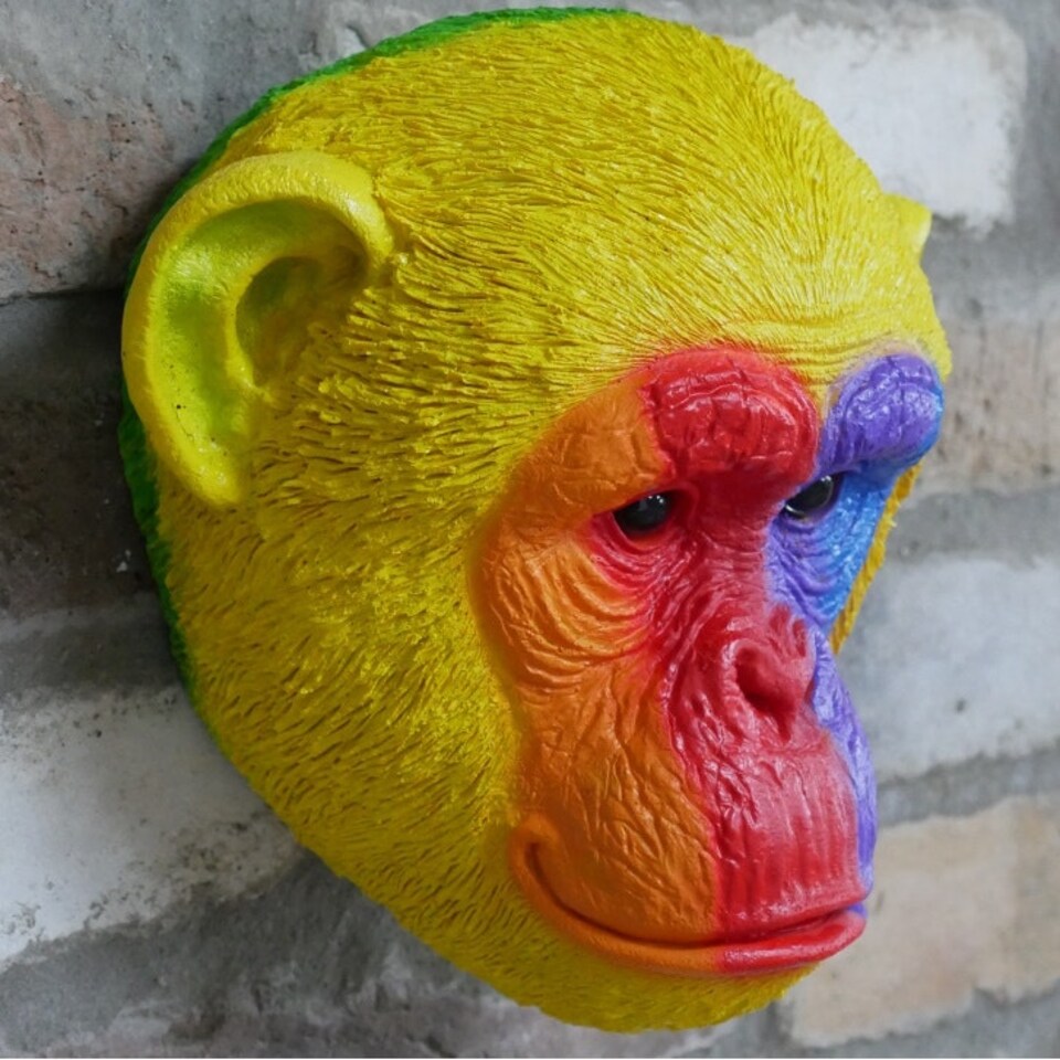 image 1 of Gifts Direct 2 U Rainbow Monkey Head Wall Ornament Multi