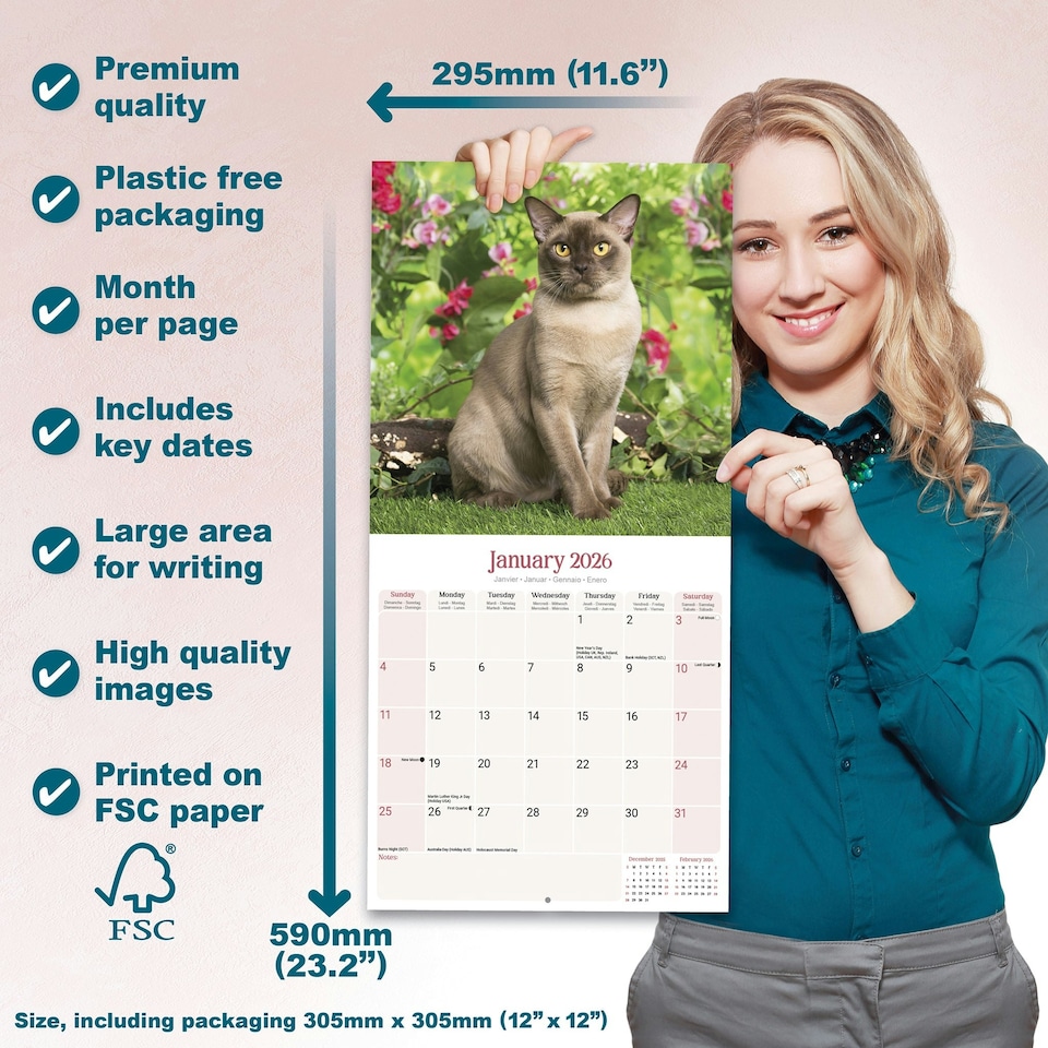image 1 of Burmese Cats 2026 Calendar | Square Wall Calendar | Cat Gift | Plastic Free Packaging | by Avonside Publishing