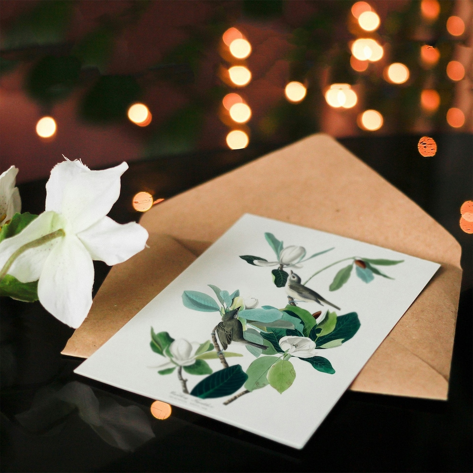 image 1 of John James Audubon Art Card Warbling Flycatcher and Magnolia Flowers