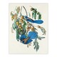 image 3 of John James Audubon Framed Wall Art Florida Jay and Persimmon Tree Home Décor