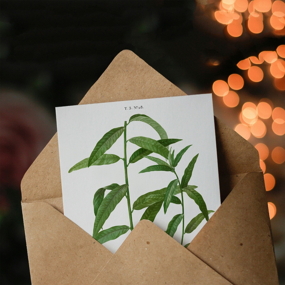 image 1 of Pierre-Joseph Redouté Art Card Basket Willow Vintage Botanical