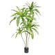 image 1 of 180cm Striped Dracaena Realistic Artificial Tree