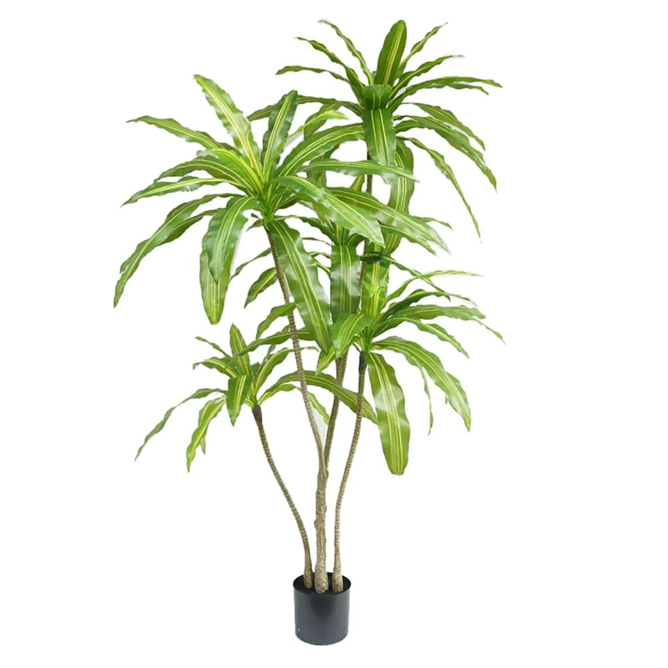 image 1 of 180cm Striped Dracaena Realistic Artificial Tree