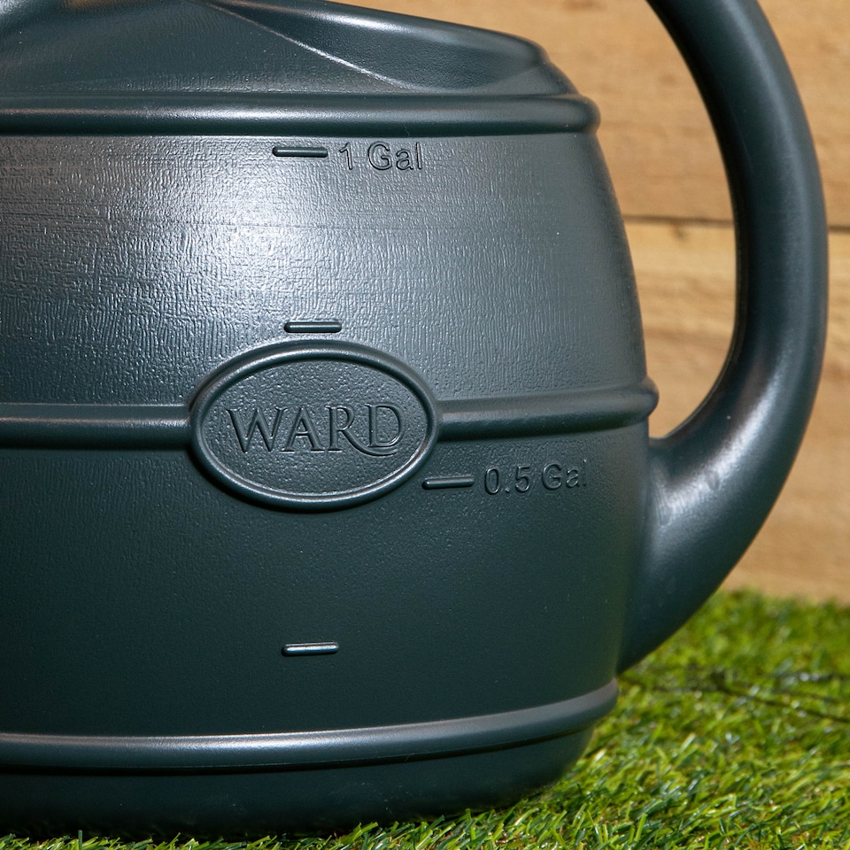 image 1 of 5L Garden Patio Ward Watering Can with Rose in Green