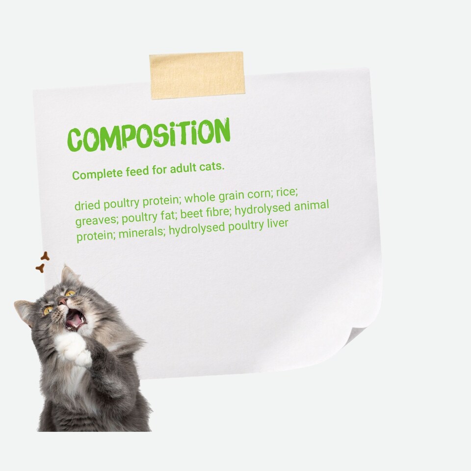 image 1 of Josera SensiCat complete food for adult cats | Sensitive stomach | For fussy cats| Gluten free | Anti-Hairball | Skin & Coat | Herbs & Fruits | 10kg