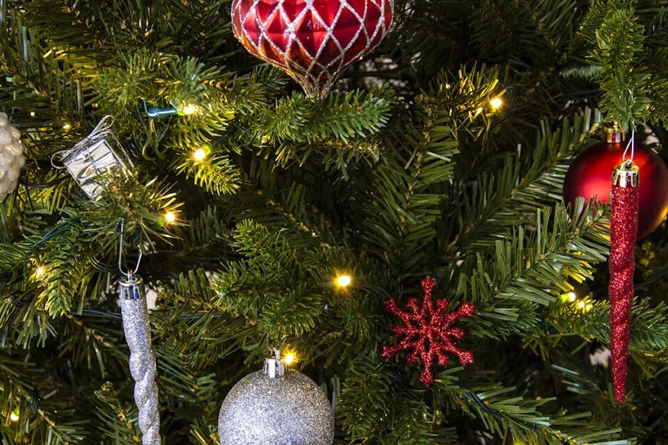 image 1 of Christmas Tree World 14ft Woodland Pine Tree