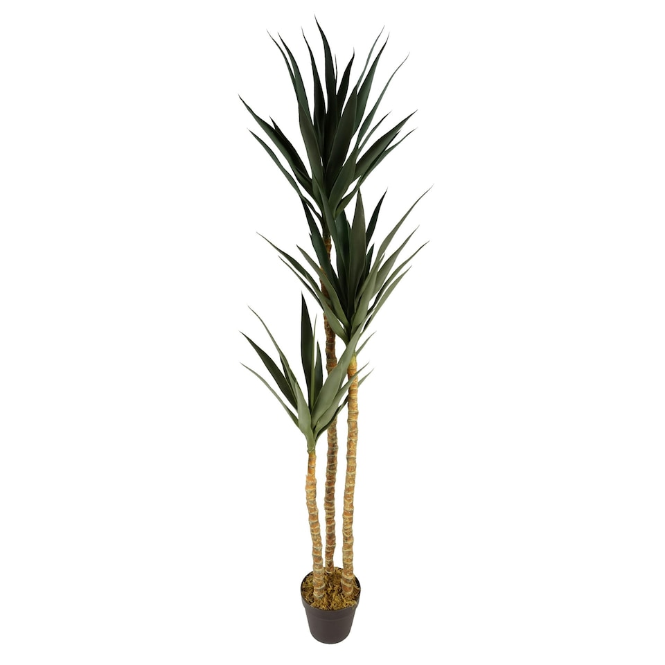 image 1 of 170cm Artificial XL Triple Yukka Tree Tropical Plant Green | One Size