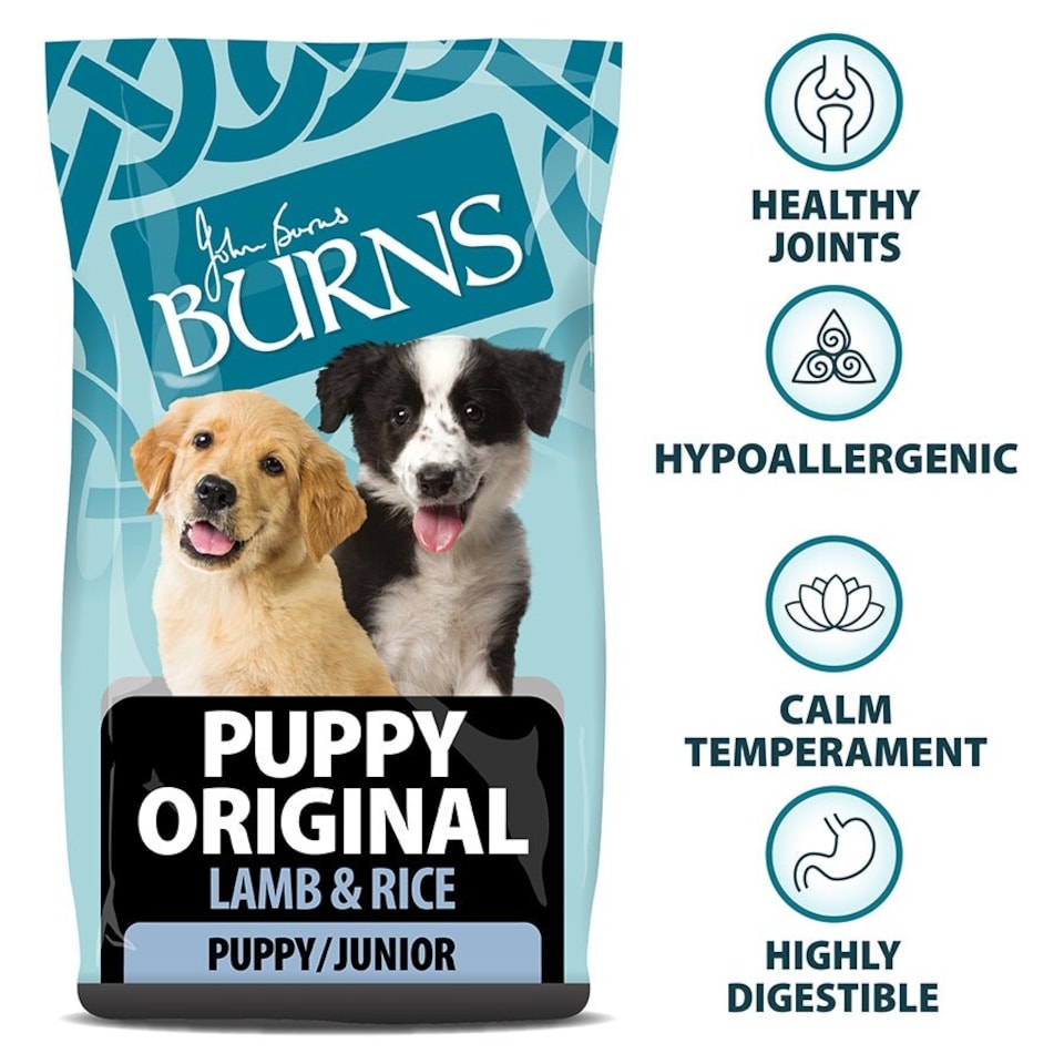 image 1 of Burns Puppy Lamb & Rice Dry Dog Food - 2 kg