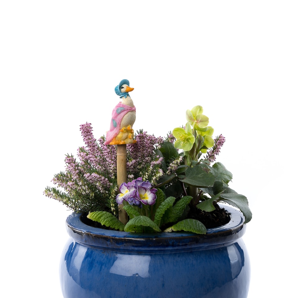 image 1 of Cane Companions Figurine Colour Jemima Puddle Duck