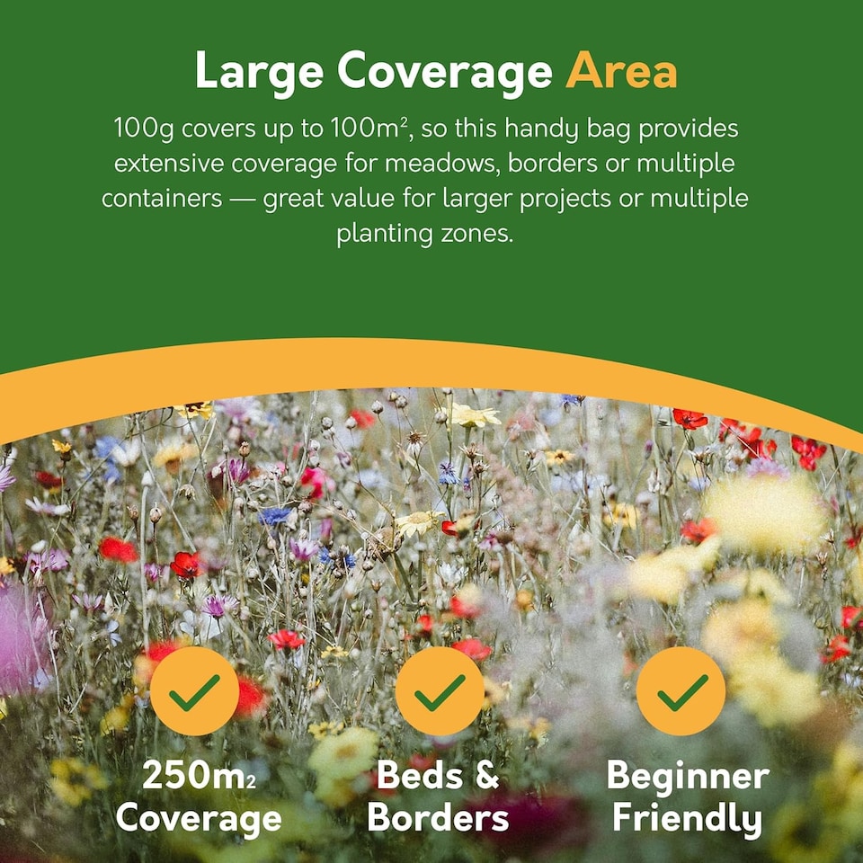 image 1 of Pronto Seed Pure Wildflower Seed Mix 100g, Covers 100m2