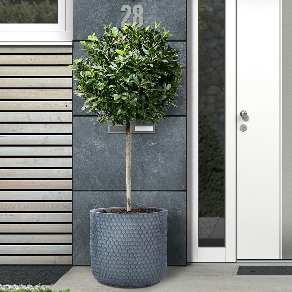 image 1 of Honeycomb Style Green Grey Cylinder Round Outdoor Garden Planter D37.5 H37 cm, 40.9 ltrs Cap.