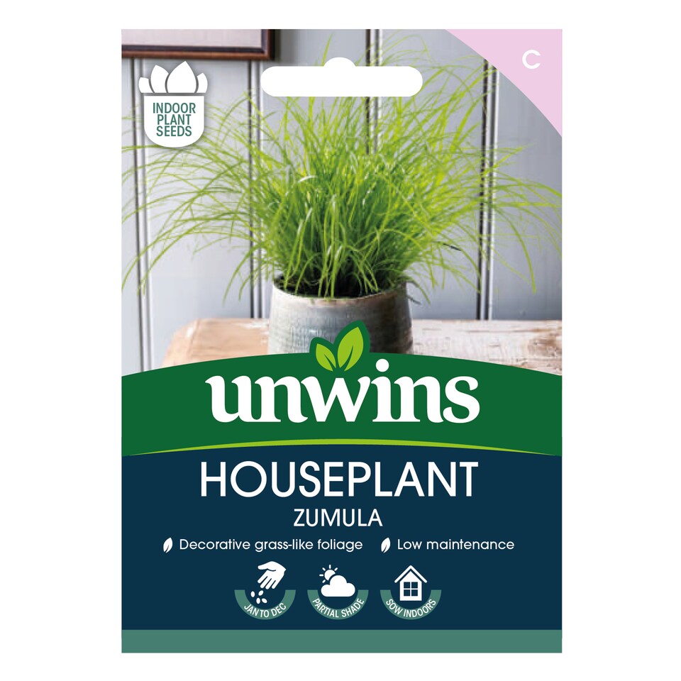 image 1 of Houseplant Zumula | Multi