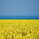 image 3 of Peace and Prosperity- Impuzzible 1000 Piece Jigsaw puzzle