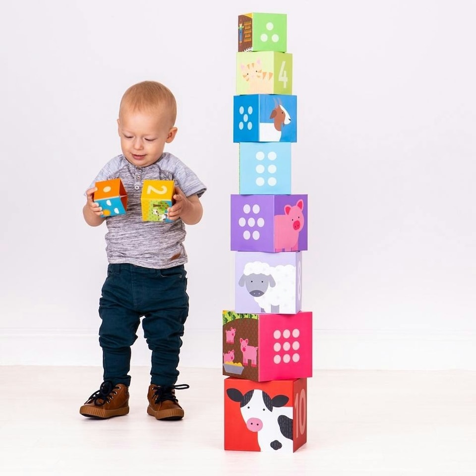 image 1 of Farmyard Stacking Cubes