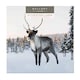 image 1 of Hallmark 25499887 Gallery Christmas Card Pack"Snowy Scenes" - 10 Cards, 2 Designs