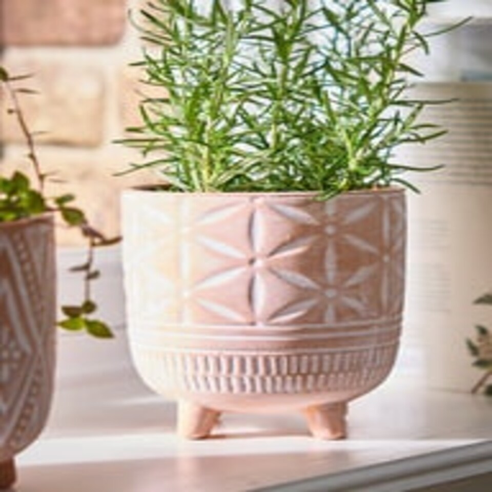 image 1 of Floral Terracotta Footed Plant Pot Orange