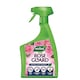 image 1 of Westland Rose Guard RTU 800ml Spray for Healthy Leaves Vibrant Colour Disease Protection and Stronger Blooms for Roses