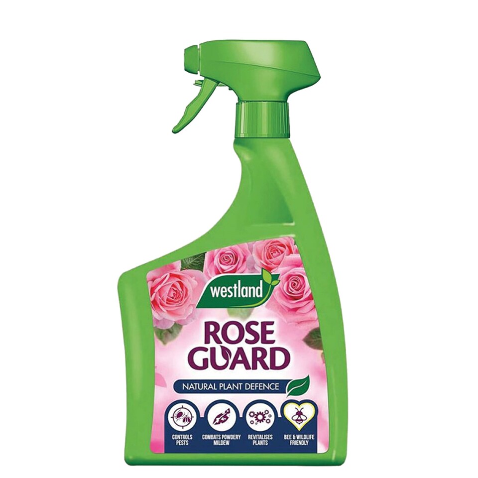 image 1 of Westland Rose Guard RTU 800ml Spray for Healthy Leaves Vibrant Colour Disease Protection and Stronger Blooms for Roses