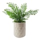 image 2 of 16cm White Honeycomb Ceramic Planter | White