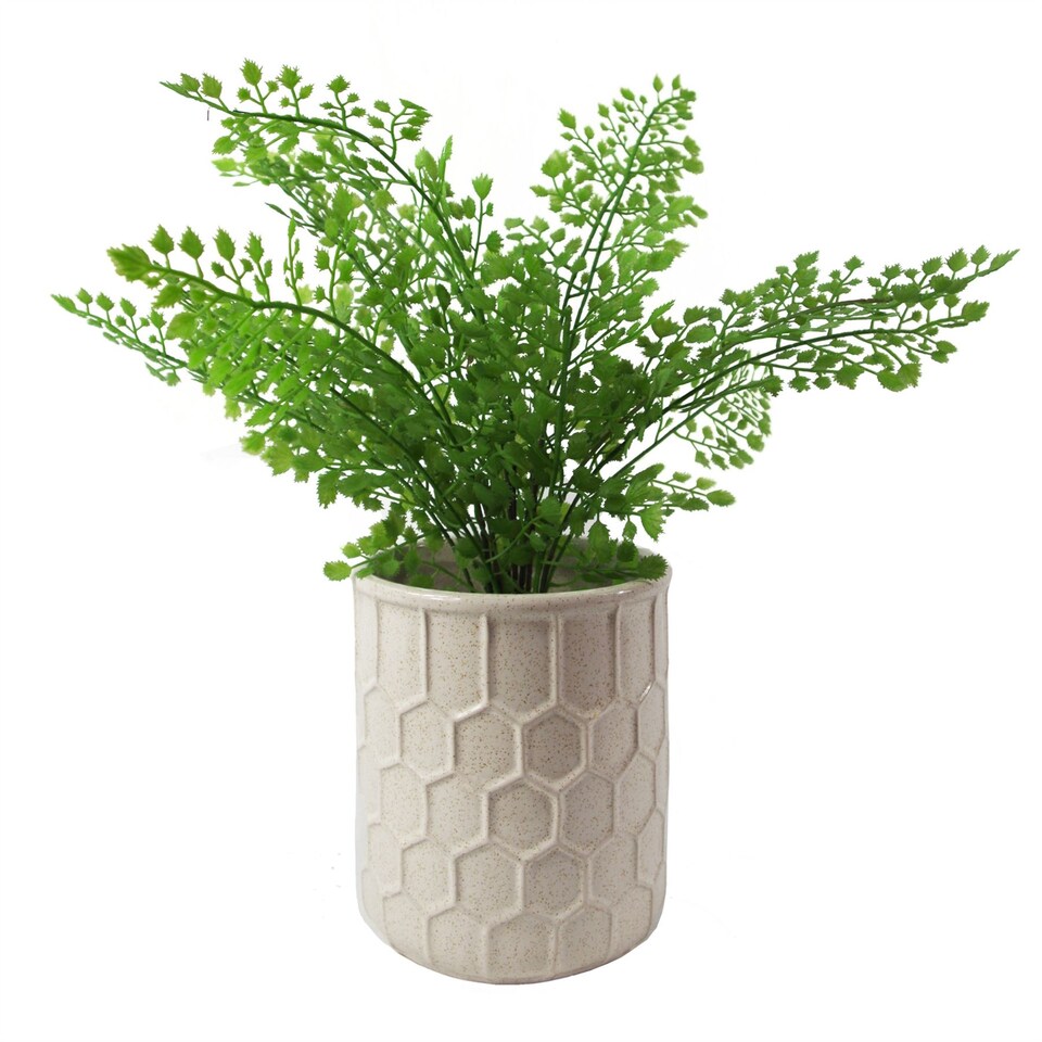 image 1 of 16cm White Honeycomb Ceramic Planter | White