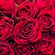 image 3 of 100 Classic Red Roses Bouquet