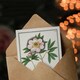 image 3 of Anselmus de Boodt Art Card Blooming Peony Flower Study