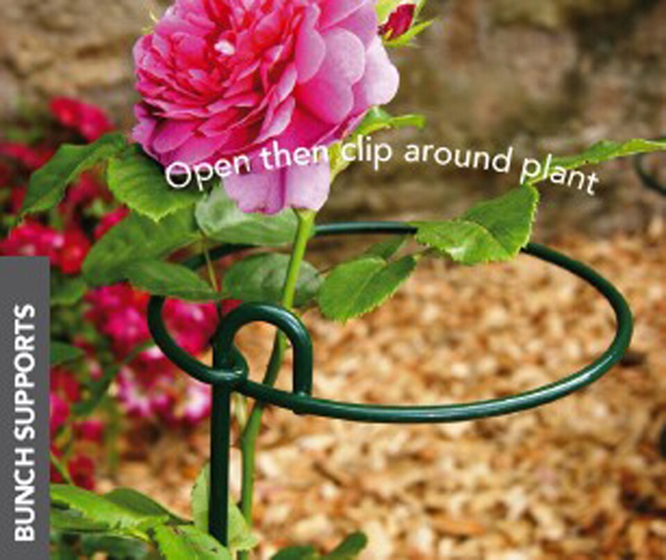 Small Bunch Support (Pack of 4) - Steel - L15.2 x W15.2 x H86.4 cm - Plastic Coated Green