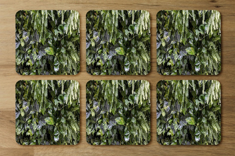 image 1 of Trend biophilic design. Wall from plants, vertical garden,urban jungle, modern interior decoration (Placemat & Coaster Set)