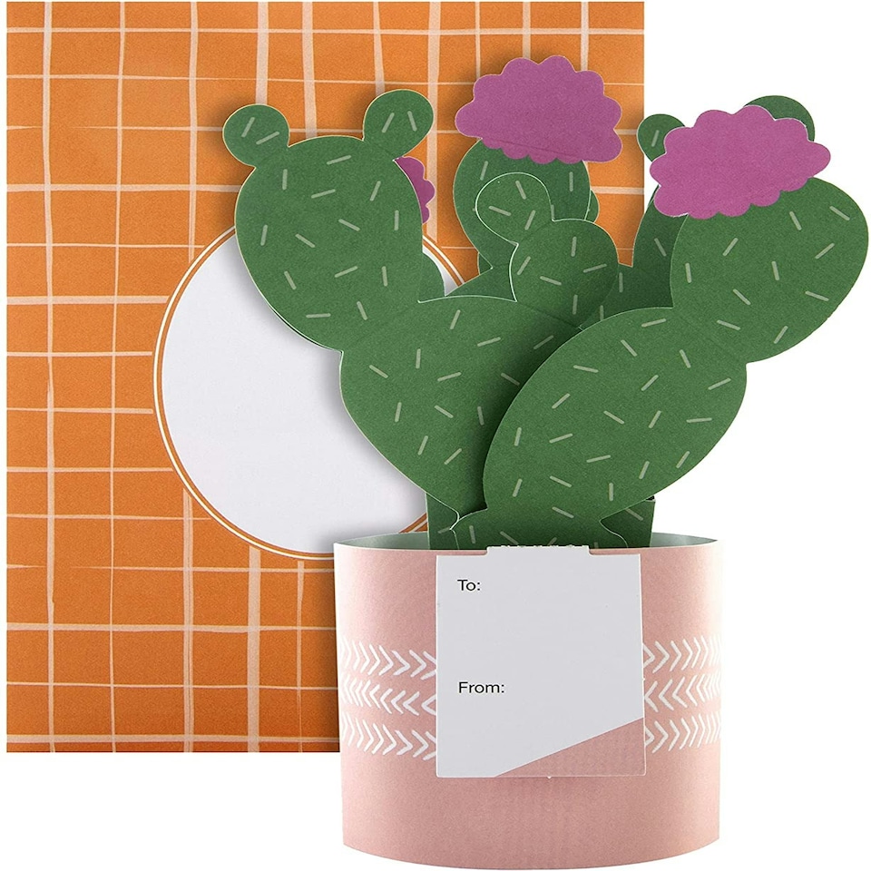 image 1 of Contemporary Cactus Design Pop Up Card