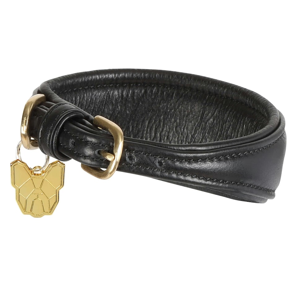 image 1 of Digby & Fox Leather Padded Greyhound Dog Collar - Black - XS - Neckline: 21cm-24cm
