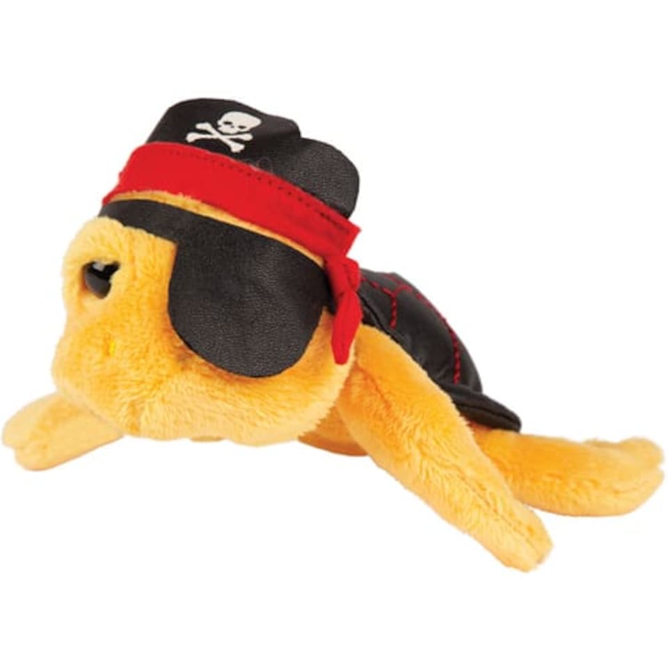 Small Pirate Jack Turtle