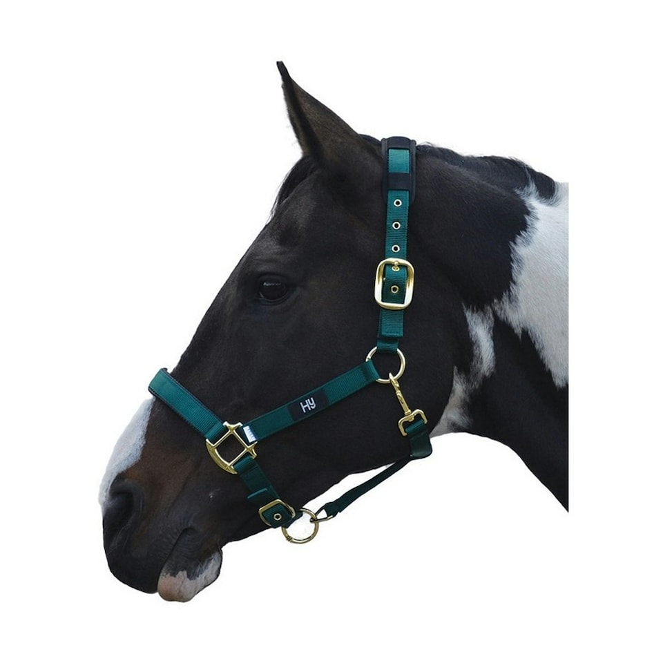 Hy Deluxe Padded Head Collar - Bottle Green - Cob