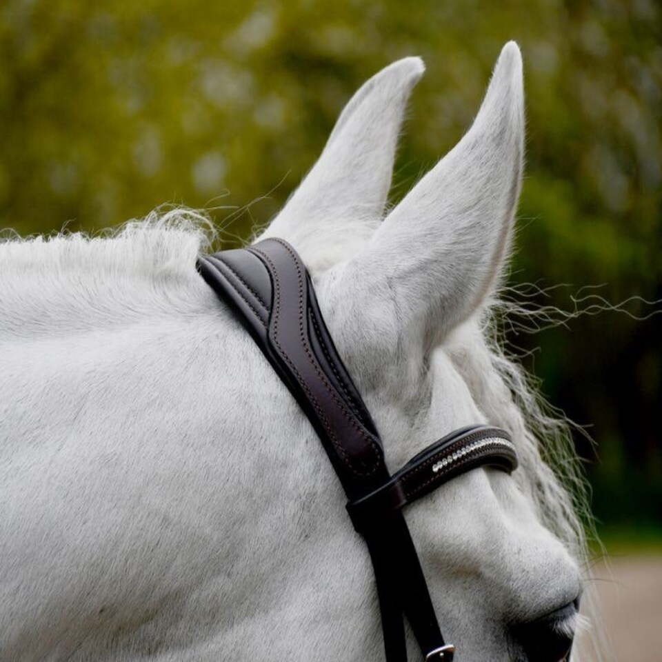 image 1 of Rhinegold Anatomical Flash Bridle Black | Size: X-Full
Colour: Black